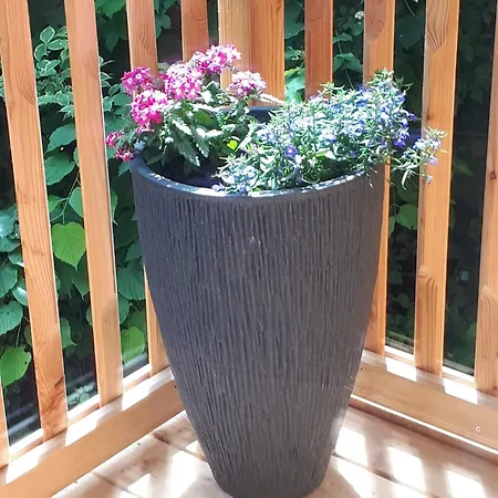 Schafberg Luxury Apartment *