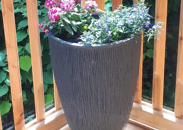 Schafberg Luxury Apartment *